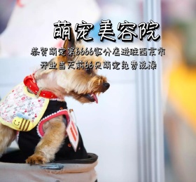 萌宠美容院