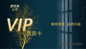 VIP贵宾卡金色大气会员金卡会员会员卡
