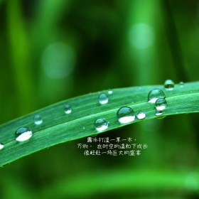 雨后的大地绿色简约公众号配图