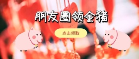 朋友圈领金猪红色封面