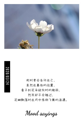 心情语录简约黑白公众号竖版配图模板