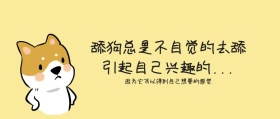 舔狗调侃公众号封面