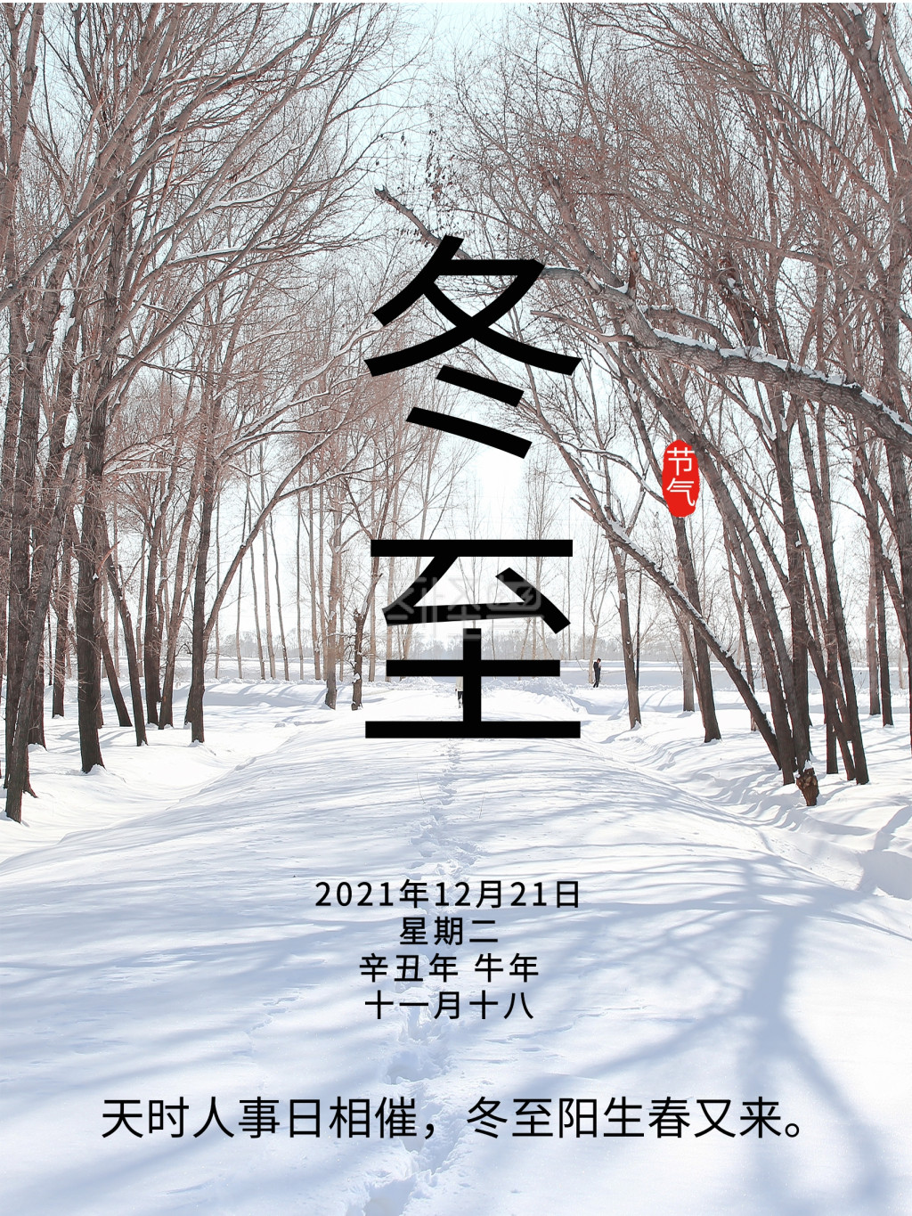 2020年冬至最新24二十四节气海报