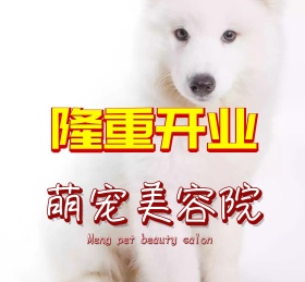 萌宠宠物可爱动物朋友圈封面