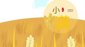 小满清新简约公众号封面模板