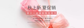 双十一淘宝促销简约直通车海报