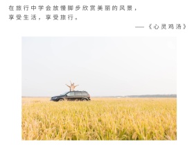 紫色摄影美景旅行情感公众号横版配图