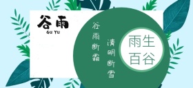 百生谷雨节气清明传统公众号特殊首图