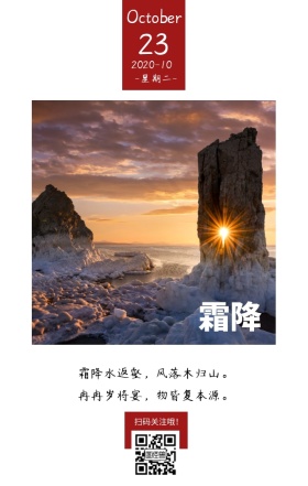 霜降季节节气树林白色文艺简约日签