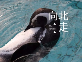 向北走沙漠旅行简约创意公众号配图