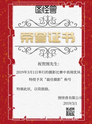 摄影比赛奖状印刷海报