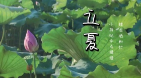 立夏小荷花绿色公众号封面