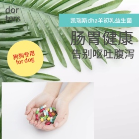 狗狗益生菌宠物用品主图医药