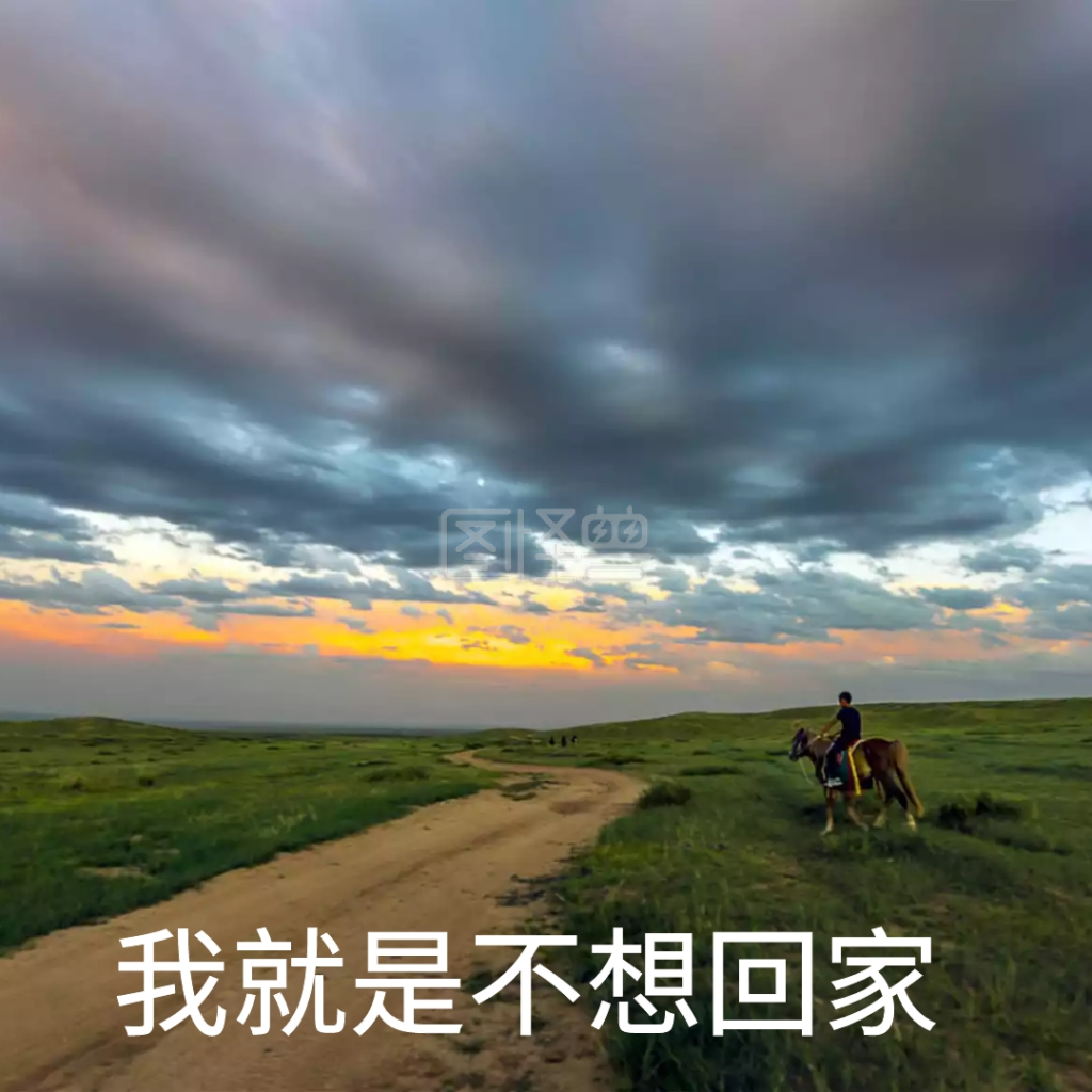 可爱小狗不想回家恶搞趣味日常手机表情包