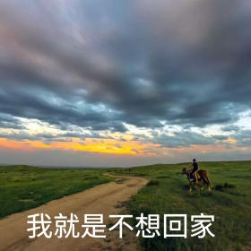 可爱小狗不想回家恶搞趣味日常手机表情包
