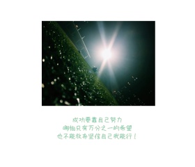 祝愿贺卡