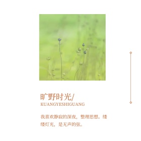 橘色文艺复古风日系和风女生公众号配图