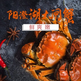 黄色阳澄湖大闸蟹鲜爽嫩熟食淘宝主图直通车