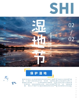 国际湿地节宣传海报