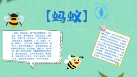 卡通创意蓝色大气蚂蚁手抄报海报