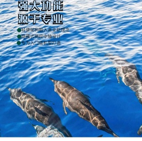 摄影器材海报
