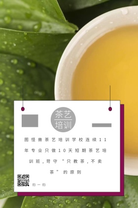 茶艺培训简约创意公众号配图