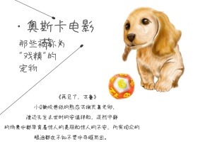 2018奥斯卡电影节宠物类创意公众号配图