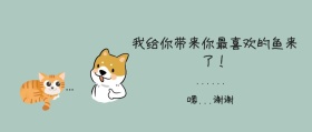 一脸懵的猫公众号封面