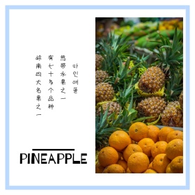 水果菠萝简约白色方形配图