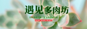 小清新手绘遇见多肉坊淘宝海报banner电商