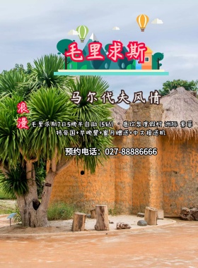 毛里求斯风情旅游海报