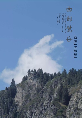 西部慧谷海报