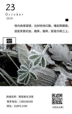霜降季节节气白雪白色文艺简约日签