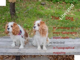 动物狗摄影风公众号横版配图模版