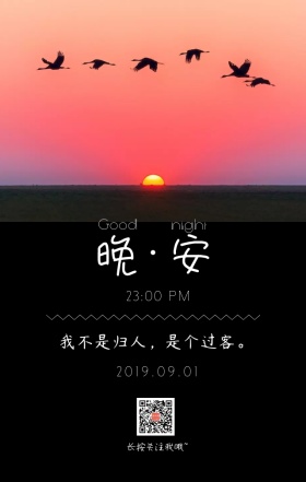 夕阳飞鸟摄影晚安日签海报