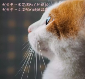 朋友圈背景