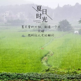 夏日时光情感摄影风公众号正方形配图模版