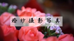 婚纱摄影公众号封面模板