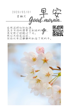 清新百合花早安日签海报
