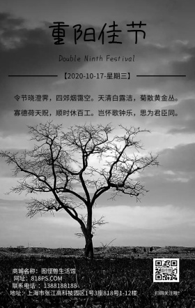 重阳节节日老人蓝色文艺简约日签