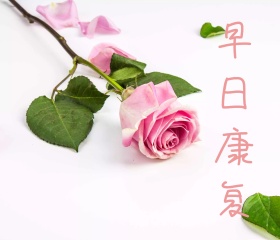 简约祝福贺卡