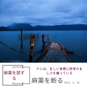 禁毒毒品禁止黑白简约公众号配图