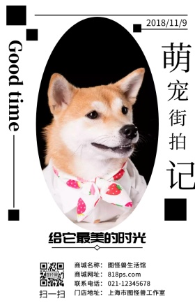 萌宠街拍日签