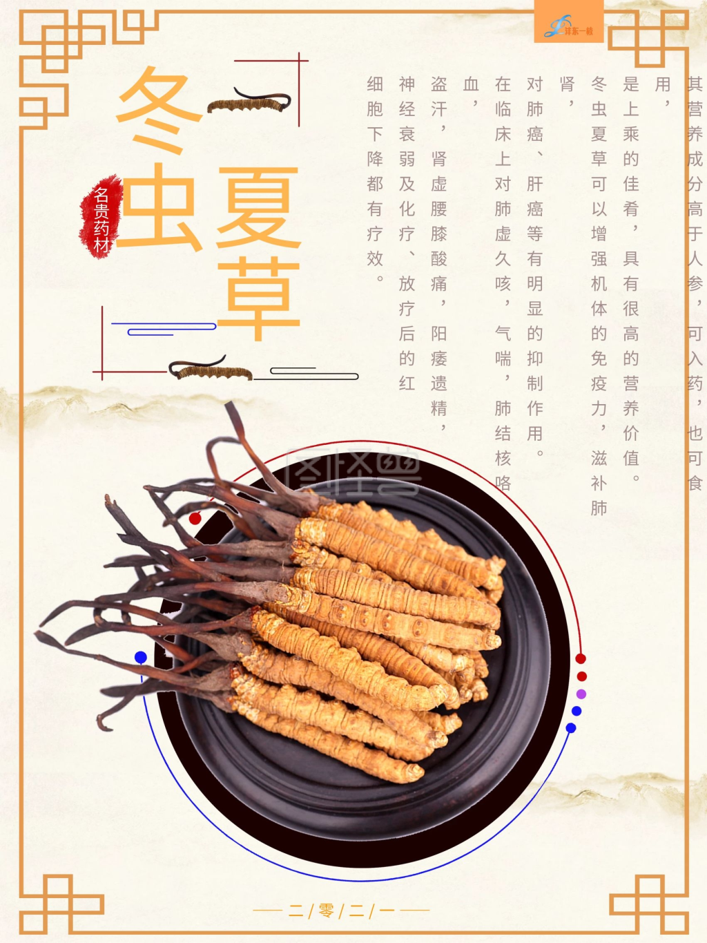 淡雅浅色古典冬虫夏草海报设计