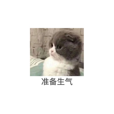 卡通猫咪生气发疯表情包