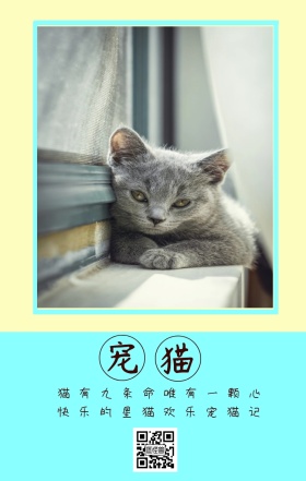 宠猫 猫有九条命唯有一颗心 快乐的星猫欢乐宠猫记 卡通宠物猫之日可爱手机海报