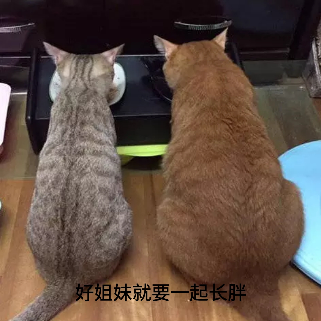 姐妹