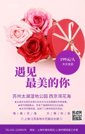 太湖西京湾薰衣草花海旅游海报