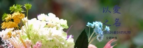 服装清新简约大气淘宝banner