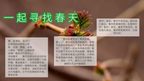 宣传寻找春天手抄报